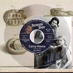 Carry Home [The Gun Club]