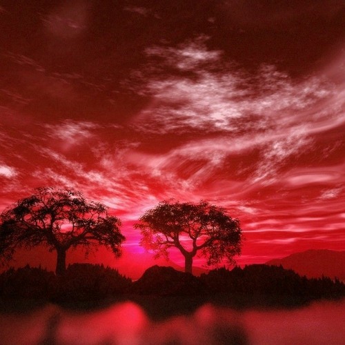 Viaje Astral