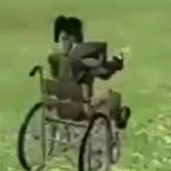 Wheelchair Sam