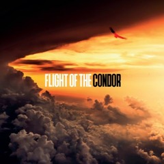 SS005B Final Flight Of The Condor