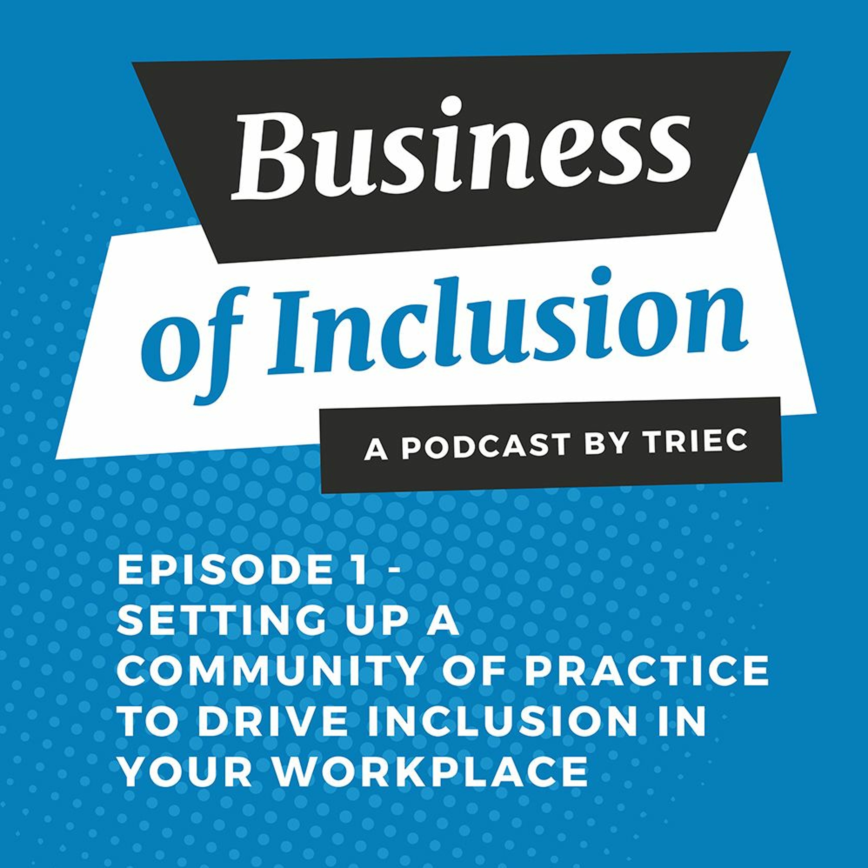Business of Inclusion Podcast