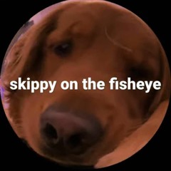 skippy on the fisheye