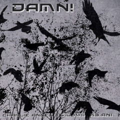 DAMN! (prod. rav3nradio)
