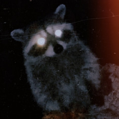 soot gremlins