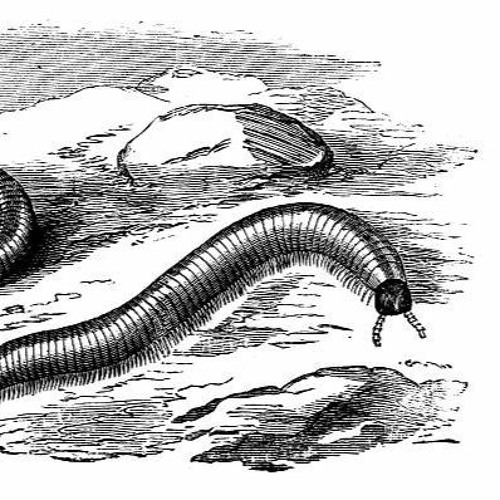 Return Of The Millipede World-Eater
