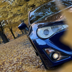 1 NIGHT [Tokyo Night] (7.6.23)