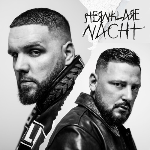 Fler - Flizzy