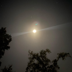 lately / d&g (prod. yungspoiler)