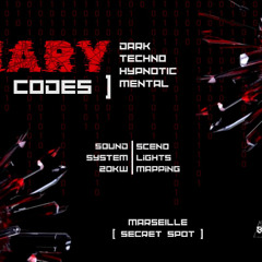 BINARY CODE