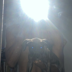 feta v3 [prod. malyworldwide]