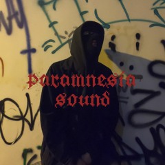Ravers Intensity - Paramnesia Sound