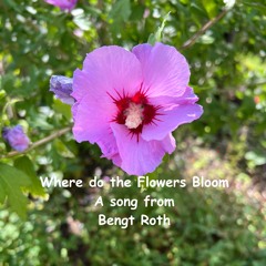 Where do the Flowers Bloom - 2025-08-13 18.02