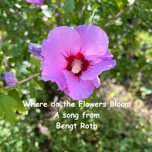 Where do the Flowers Bloom - 2025-08-13 18.02