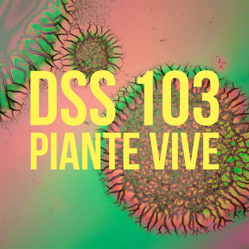 DSS 103 | Piante Vive