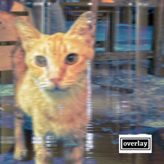 overlay - AlexBT