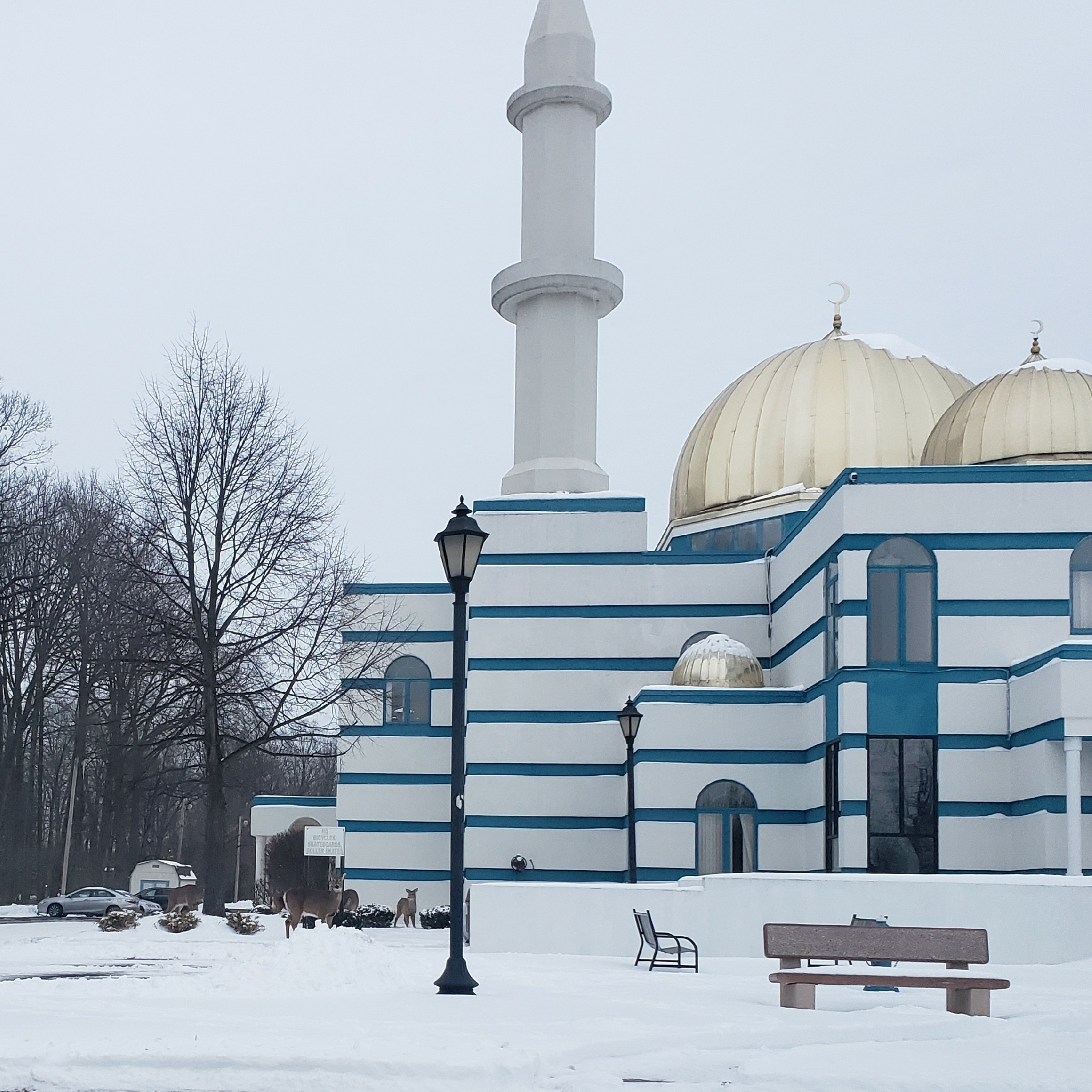 Hamzah wald Maqbul