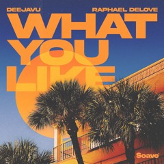 DeejaVu & Raphael DeLove - What You Like
