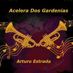 I. R. & A.L. - Acelera Dos Gardenias (Arturo Estrada Fusion Bass)¡¡¡ CLICK DOWNLOAD!!!