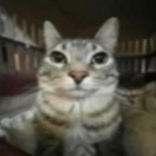 isnt that somethin [destroyyyyer]