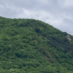 1. Avanziamo la notte con passo preciso e insicuro