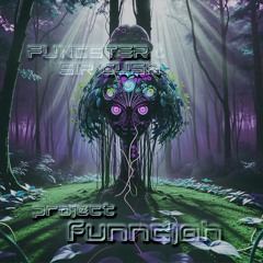 Funndjah - The Shwamba (original mix)