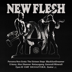 Heightened Sentiments - [Murder Records] " New Flesh  VA"