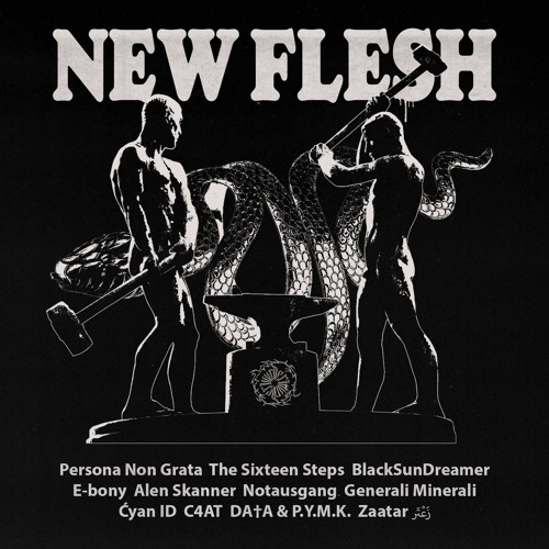 Heightened Sentiments - [Murder Records] " New Flesh  VA"