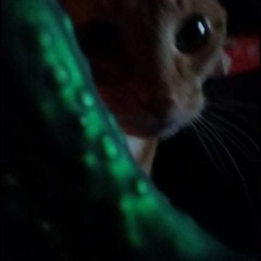 Been Thinking About You