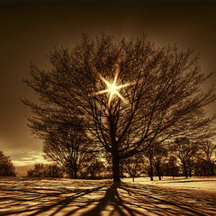 Timelessness
