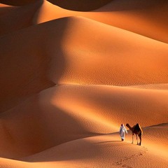 Desert Winds
