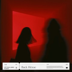 DTT Felix, birø, Plaha - back høme