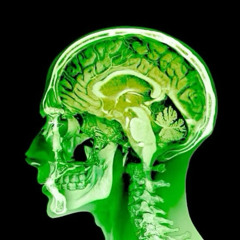 All Roads Lead to femboys