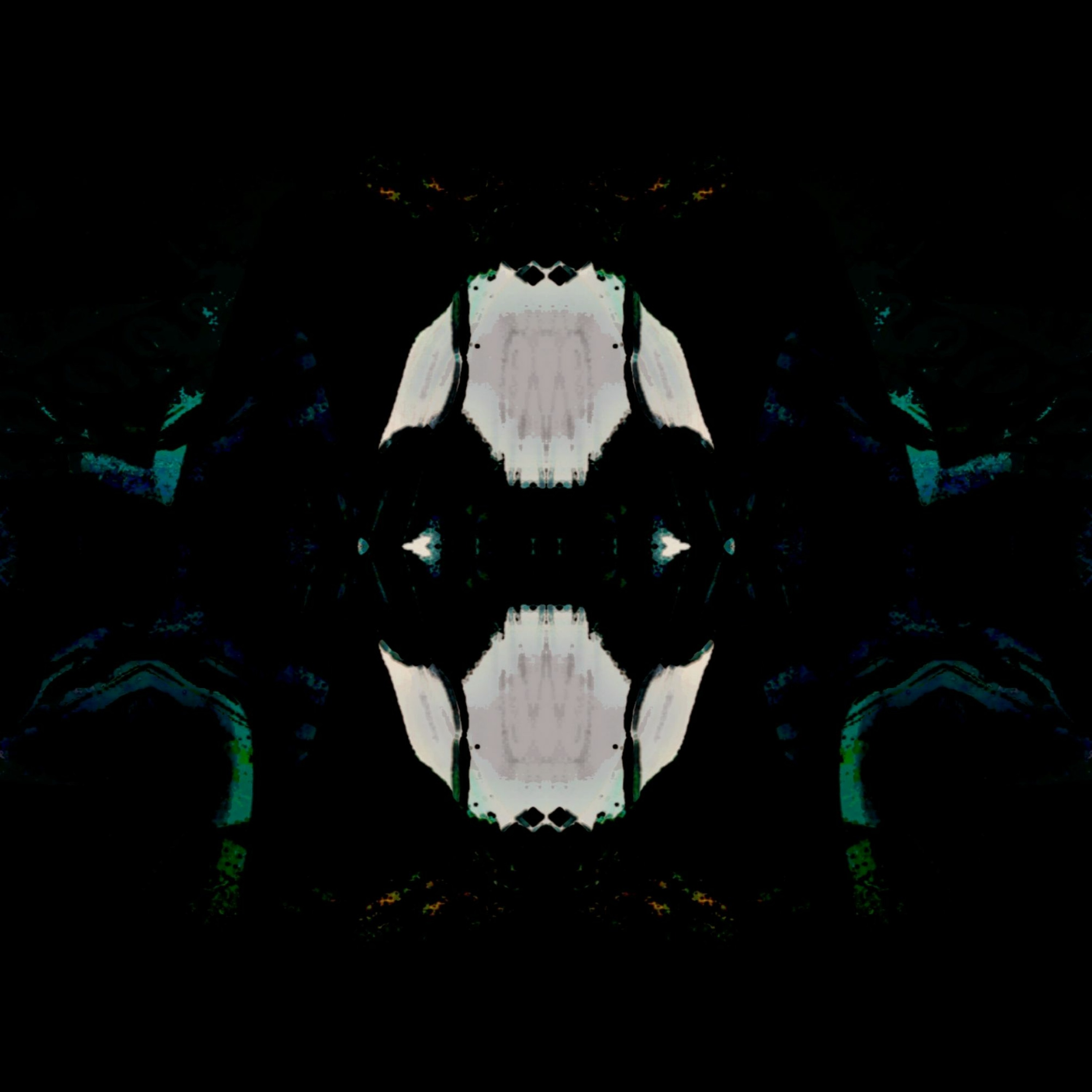 MOORQIIZ MADWOLF