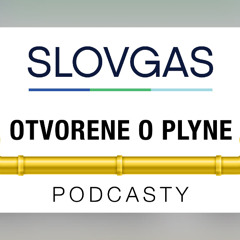 Otvorene o plyne s D.Lauterbachom a T. Vařejkom
