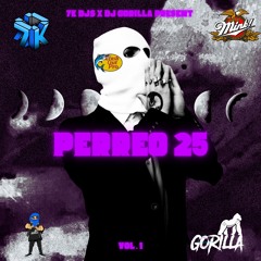 Reggaeton MIX LIVE 6-29
