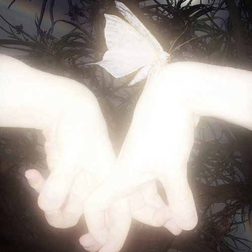 HANDS OF FATE (SOLID!) ☾*✲⋆