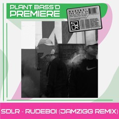PREMIERE: SDLR - RUDEBOI (Jamzigg Remix)