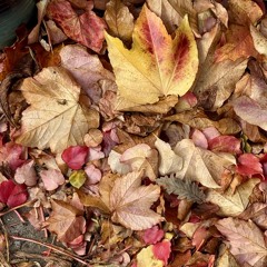 This is how autumn sounds to me