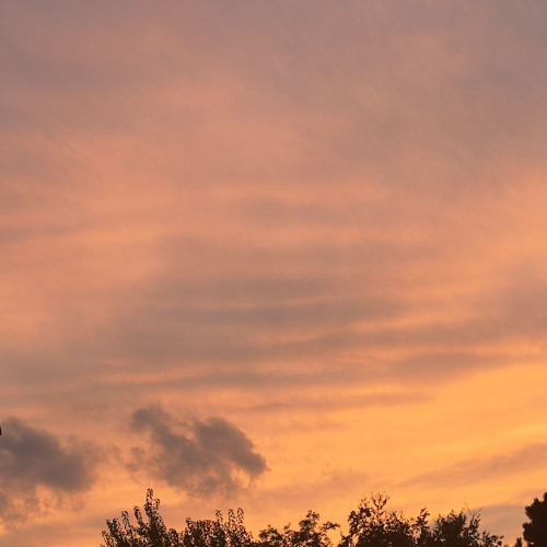 The Aching Awareness of Impermanence