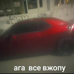 lfy