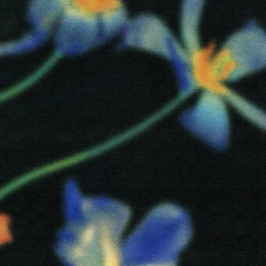 Flowers On Your Birthday