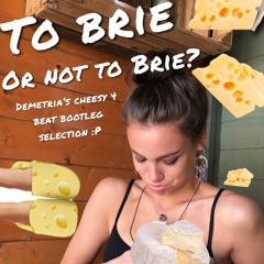 to brie or not to brie?(4x4)