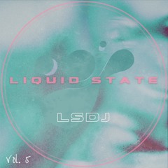 Liquid State Vol. 5 // LSDJ