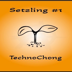 Setzling #1 - TechnoChong