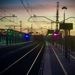 We want the sun [live]