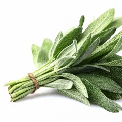Sage