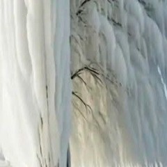 No begging..only one choice