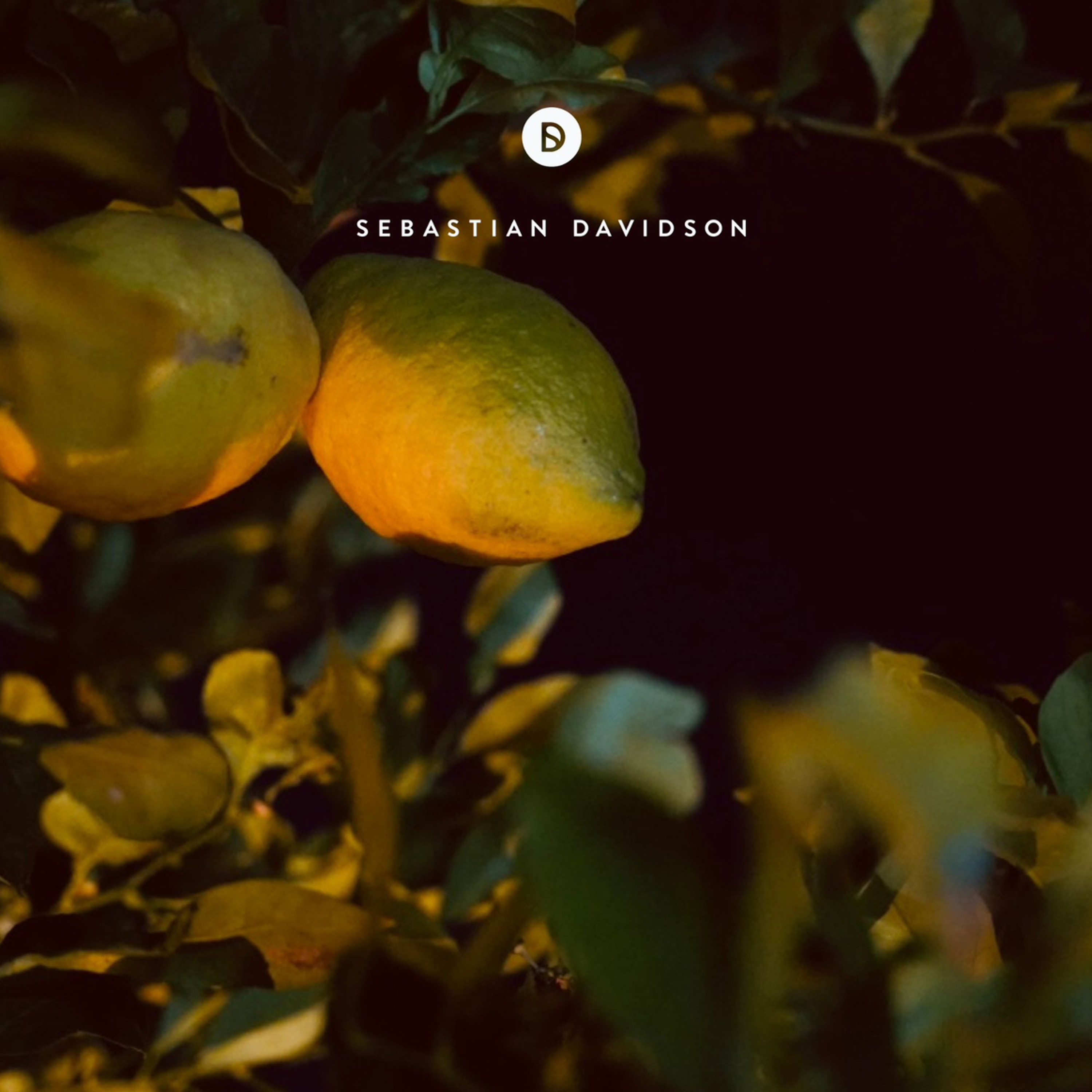 Voyage of Discovery by Sebastian Davidson