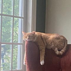 Friday Morning 1 - 11_7_25, 5.03 PM