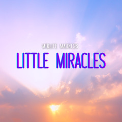 Little Miracles
